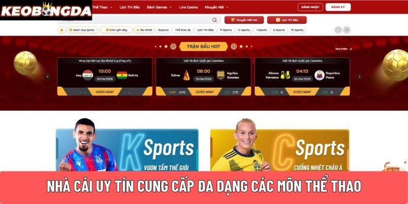 Nhà cái uy tín cung cấp đa dạng các môn thể thao