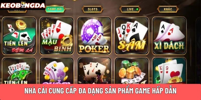 Nhà cái cung cấp đa dạng sản phẩm game hấp dẫn