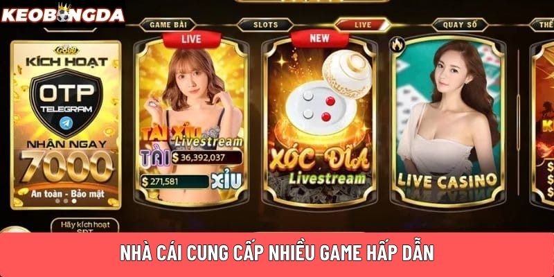 Nhà cái cung cấp nhiều game hấp dẫn