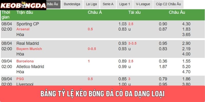 Bảng tỷ lệ kèo bóng đá có đa dạng loại