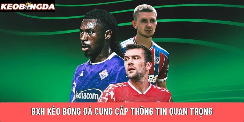 BXH Kèo Bóng Đá cung cấp thông tin quan trọng