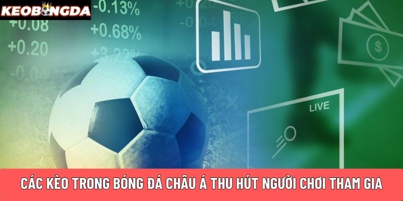 Các kèo trong bóng đá Châu Á thu hút người chơi tham gia