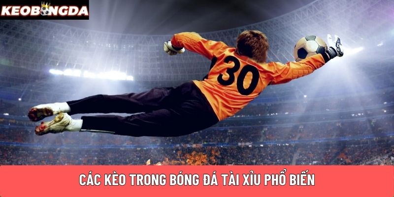 Các kèo trong bóng đá Tài Xỉu phổ biến