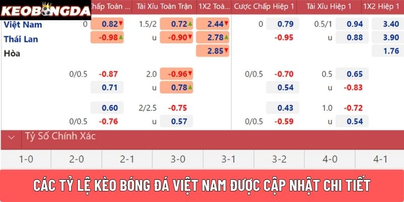 Các tỷ lệ kèo bóng đá Việt Nam được cập nhật chi tiết