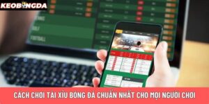 Cách chơi Tài Xỉu bóng đá