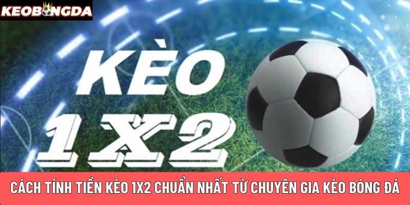 Cách tính tiền kèo 1x2