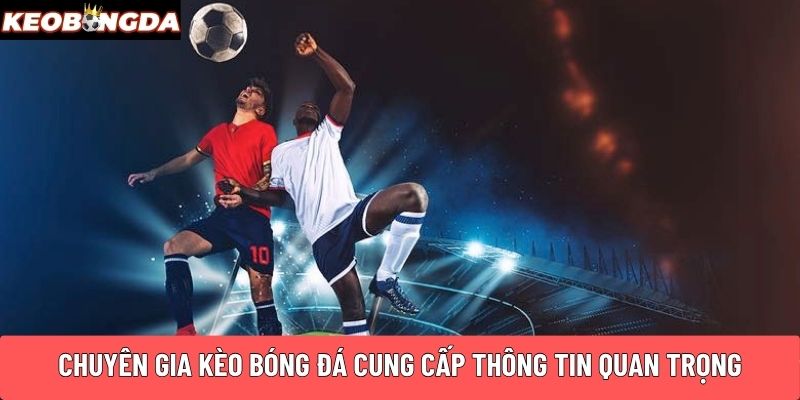 Chuyên gia Kèo Bóng Đá cung cấp thông tin quan trọng