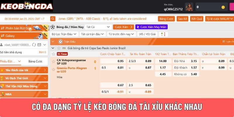 Có đa dạng tỷ lệ kèo bóng đá Tài Xỉu khác nhau