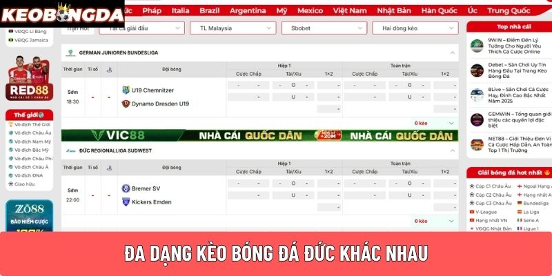 Đa dạng kèo bóng đá Đức khác nhau