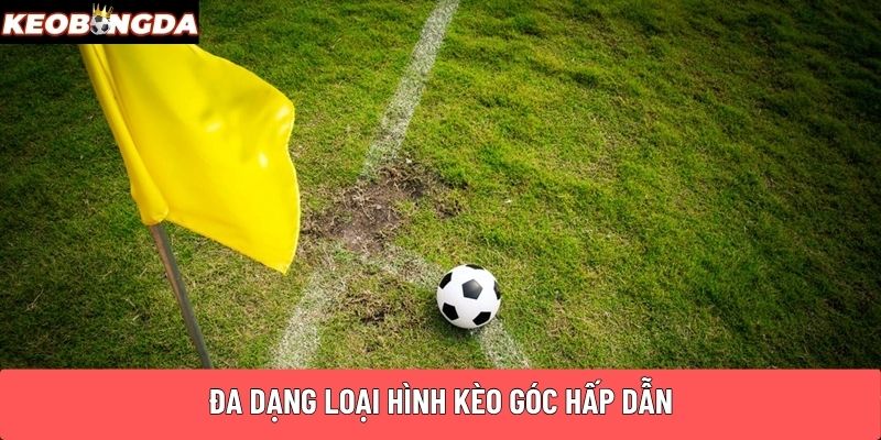 Đa dạng loại hình kèo góc hấp dẫn