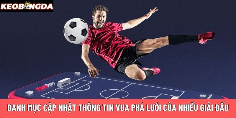Danh mục cập nhật thông tin vua phá lưới của nhiều giải đấu