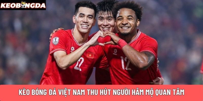 Kèo bóng đá Việt Nam thu hút người hâm mộ quan tâm
