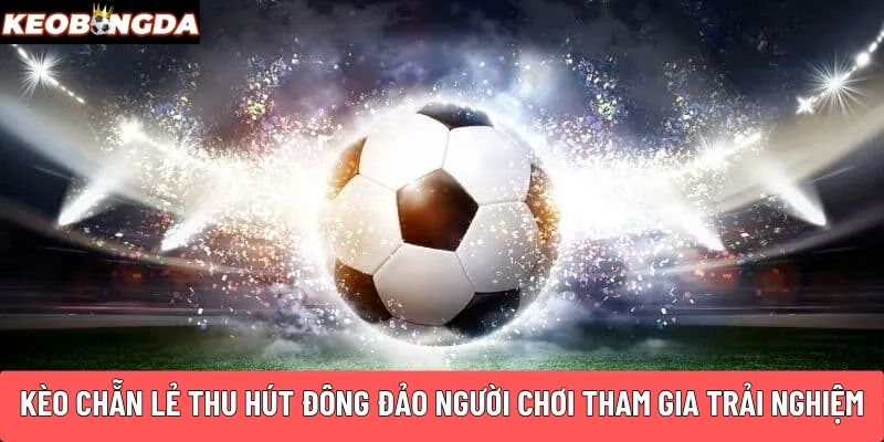 Kèo chẵn lẻ thu hút đông đảo người chơi tham gia trải nghiệm
