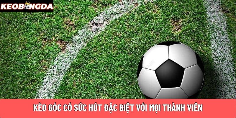 Kèo góc có sức hút đặc biệt với mọi thành viên