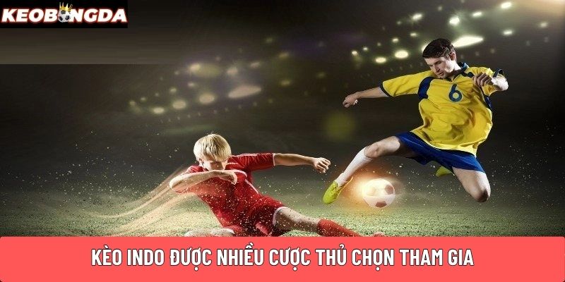 Kèo indo được nhiều cược thủ chọn tham gia