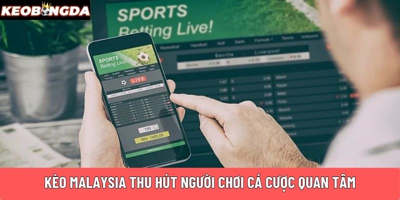 Kèo Malaysia thu hút người chơi cá cược quan tâm