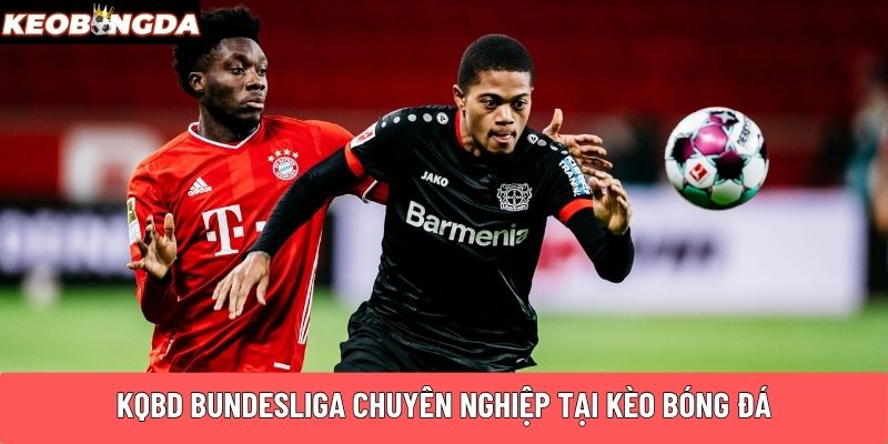 KQBD Bundesliga chuyên nghiệp nhất tại Kèo Bóng Đá