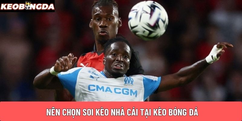 Nên chọn soi kèo nhà cái tại Kèo Bóng Đá