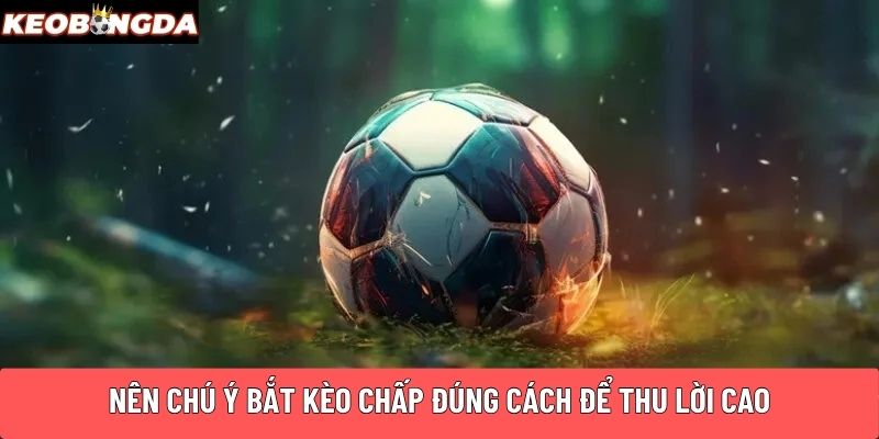 Nên chú ý bắt kèo chấp đúng cách để thu lời cao