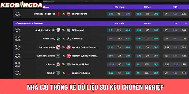 Nhà cái thống kê dữ liệu soi kèo chuyên nghiệp