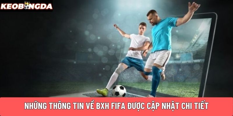 Những thông tin về BXH FIFA được cập nhật chi tiết