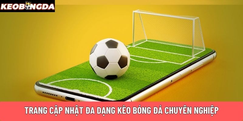 Trang cập nhật đa dạng kèo bóng đá chuyên nghiệp