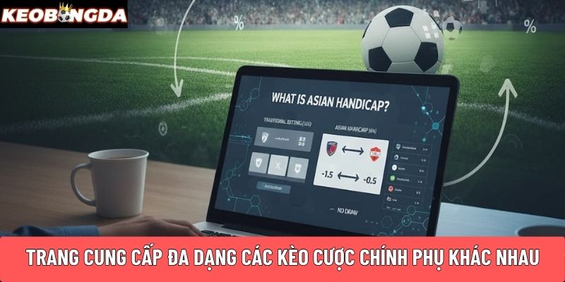 Trang cung cấp đa dạng các kèo cược chính phụ khác nhau