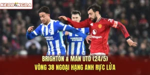 Brighton & Man Utd 24/5