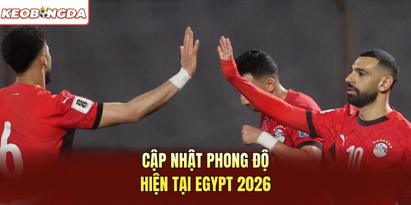 Cập nhật phong độ hiện tại Egypt 2026