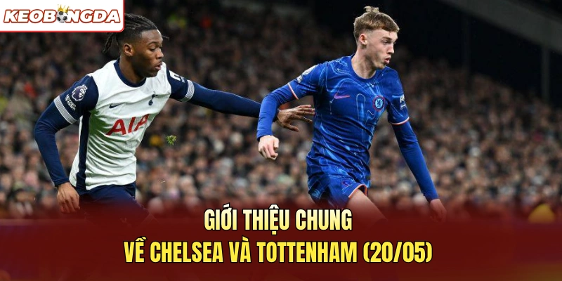 Giới thiệu chung về Chelsea và Tottenham 20/05
