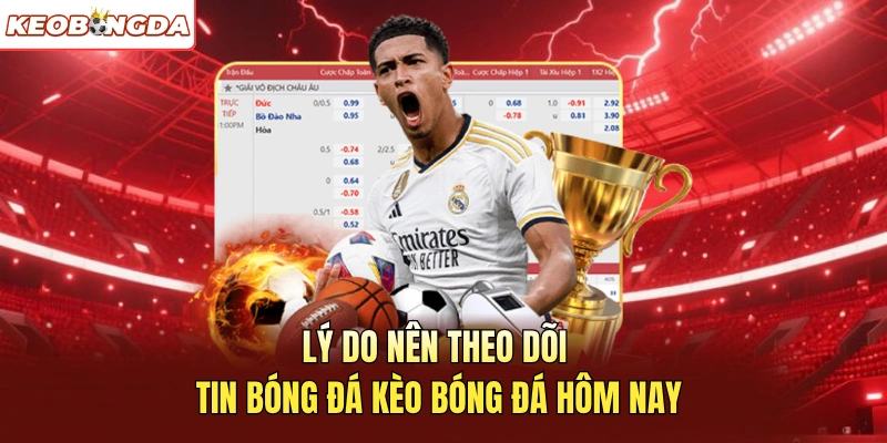 Lý do nên theo dõi tin bóng đá Kèo Bóng Đá hôm nay