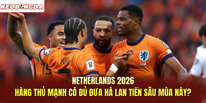 Netherlands 2026 Gây Ấn Tượng Nhờ Hàng Thủ Đầy Chắc Chắn