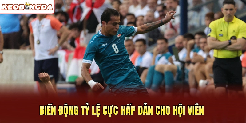 Biến động tỷ lệ cực hấp dẫn cho hội viên