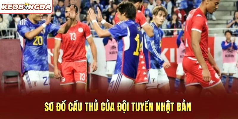 Sơ đồ cầu thủ của đội tuyển Nhật Bản