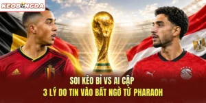 Soi Kèo Bỉ Vs Ai Cập - 3 Lý Do Tin Vào Bất Ngờ Từ Pharaoh