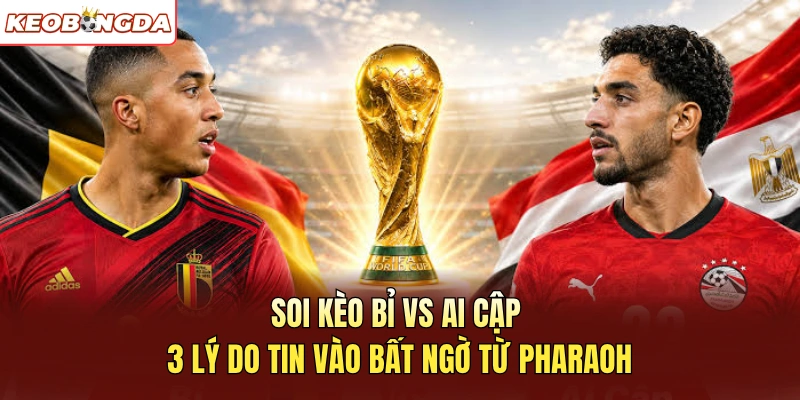 Soi Kèo Bỉ Vs Ai Cập - 3 Lý Do Tin Vào Bất Ngờ Từ Pharaoh