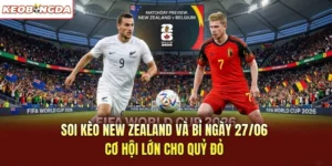 Soi Kèo New Zealand Và Bỉ Ngày 27/06 – Cơ Hội Lớn Cho Quỷ Đỏ