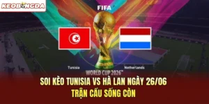 Soi Kèo Tunisia Vs Hà Lan Ngày 26/06 Tại Bảng F FIFA