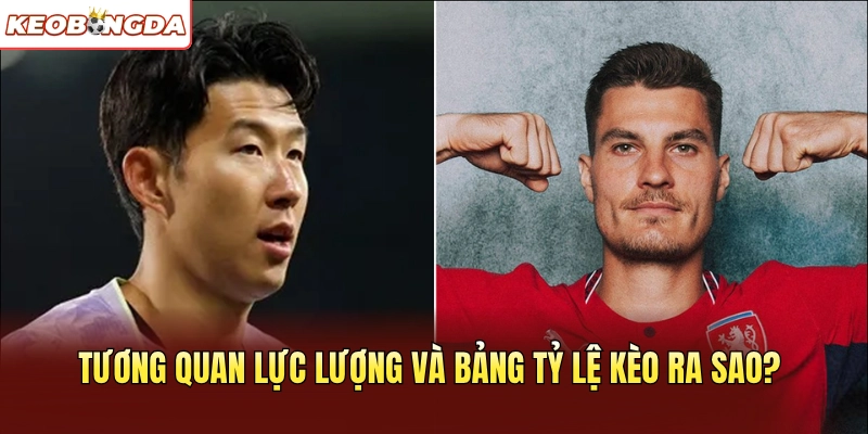 Tương quan lực lượng và bảng tỷ lệ kèo ra sao?